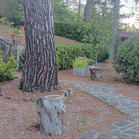Villa Santa Margherita - La Suvera Ponte A Bozzone Экстерьер фото