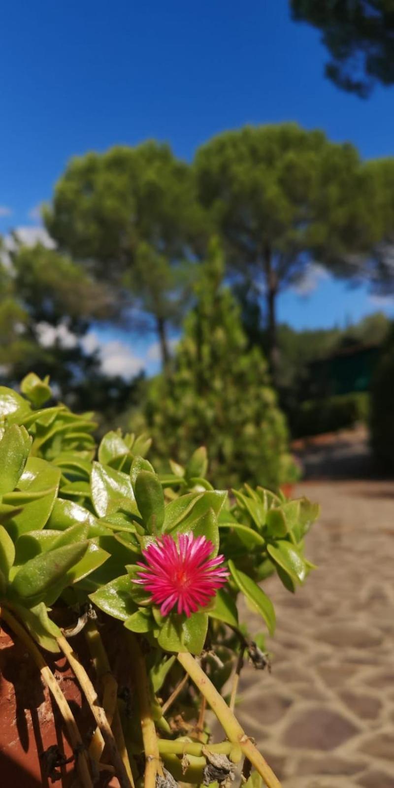 Villa Santa Margherita - La Suvera Ponte A Bozzone Экстерьер фото