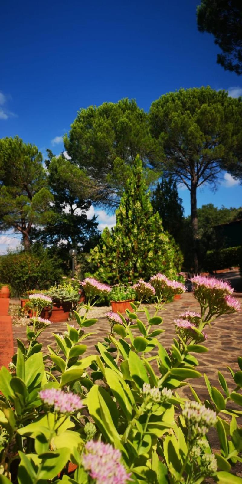 Villa Santa Margherita - La Suvera Ponte A Bozzone Экстерьер фото
