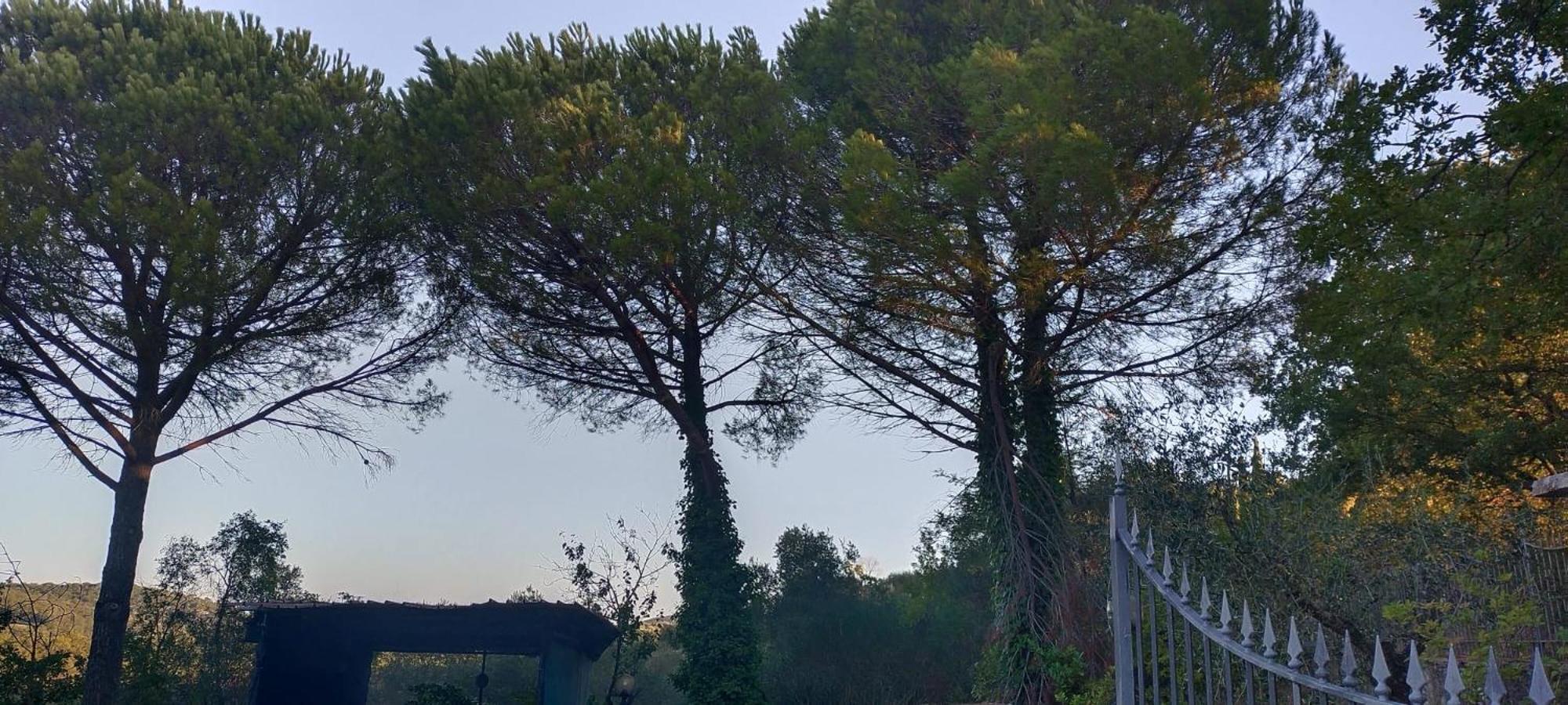 Villa Santa Margherita - La Suvera Ponte A Bozzone Экстерьер фото